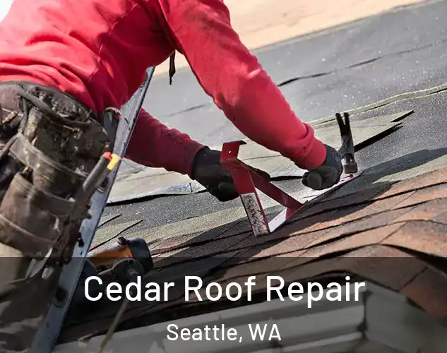  Cedar Roof Repair Seattle, WA