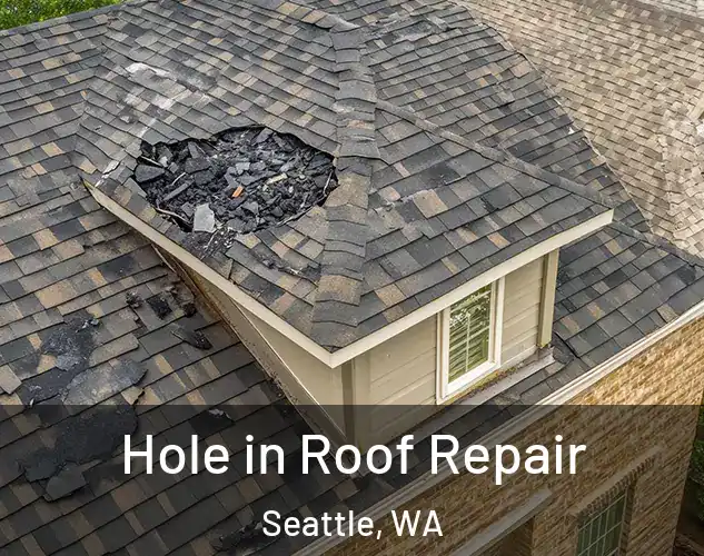  Hole in Roof Repair Seattle, WA