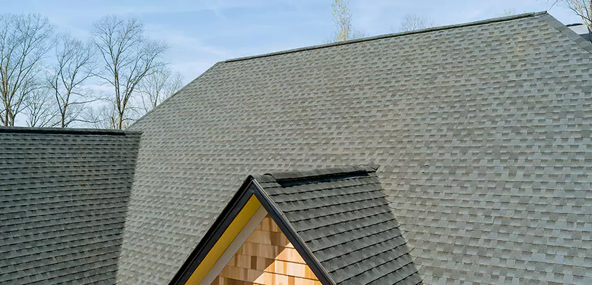 Replacing Vinyl Siding With Cedar Shingles in Seattle