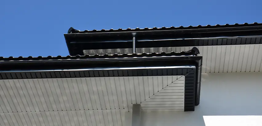 Roof Overhang Repair in Seattle