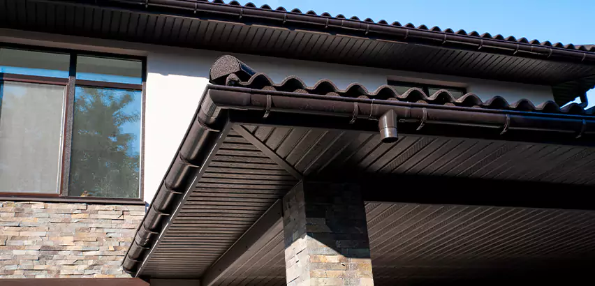 Soffit Damage Repair in Seattle
