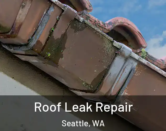  Roof Leak Repair Seattle, WA