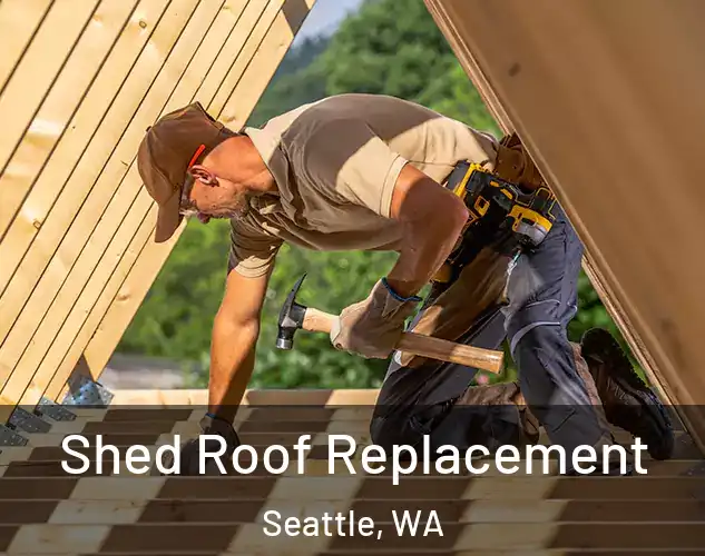  Shed Roof Replacement Seattle, WA