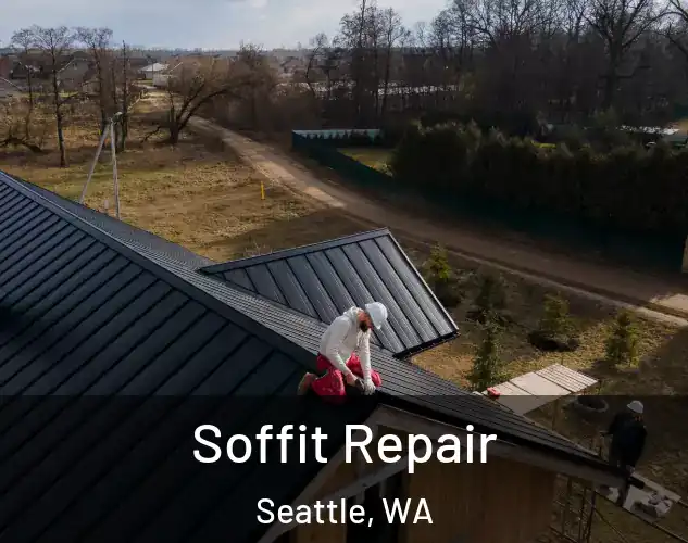  Soffit Repair Seattle, WA
